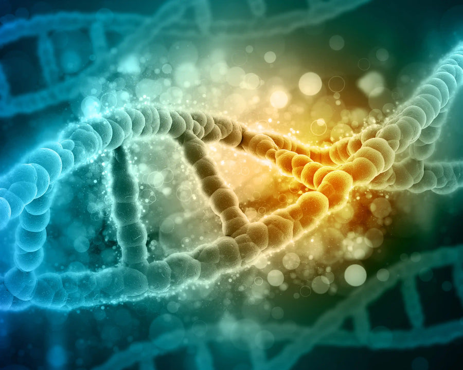 DNA methylation illustration