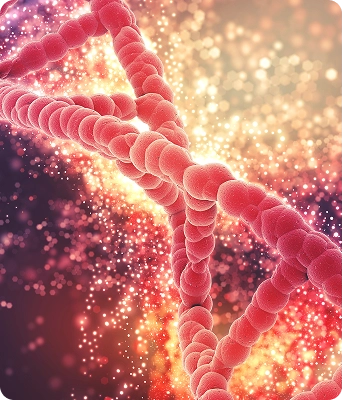 Aging & Epigenetics