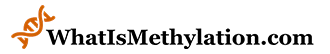 whatismethylation