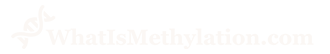 WhatIsMethylation